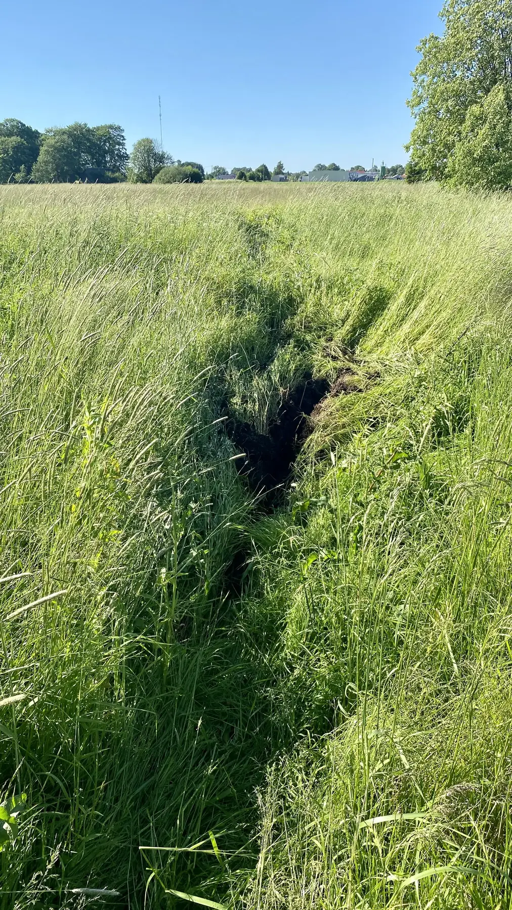 Minu küntud kartulivagu!
