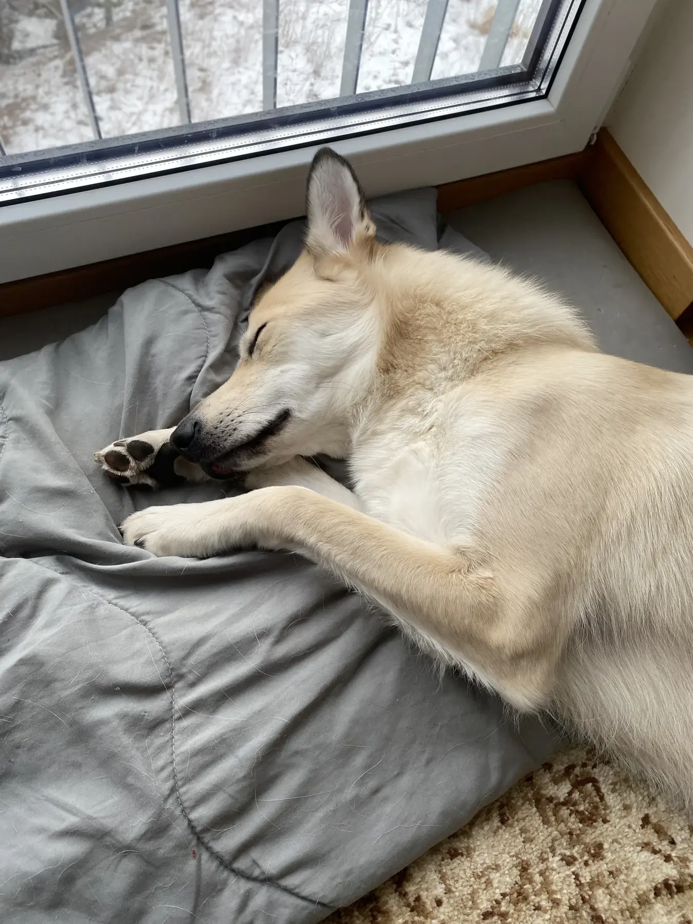 Lähme välja!