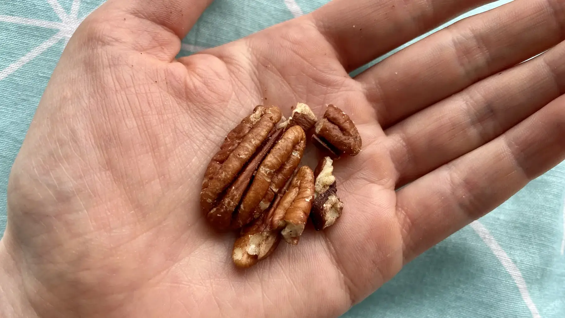 MBSR 1: Mindfully eating a pecan nut