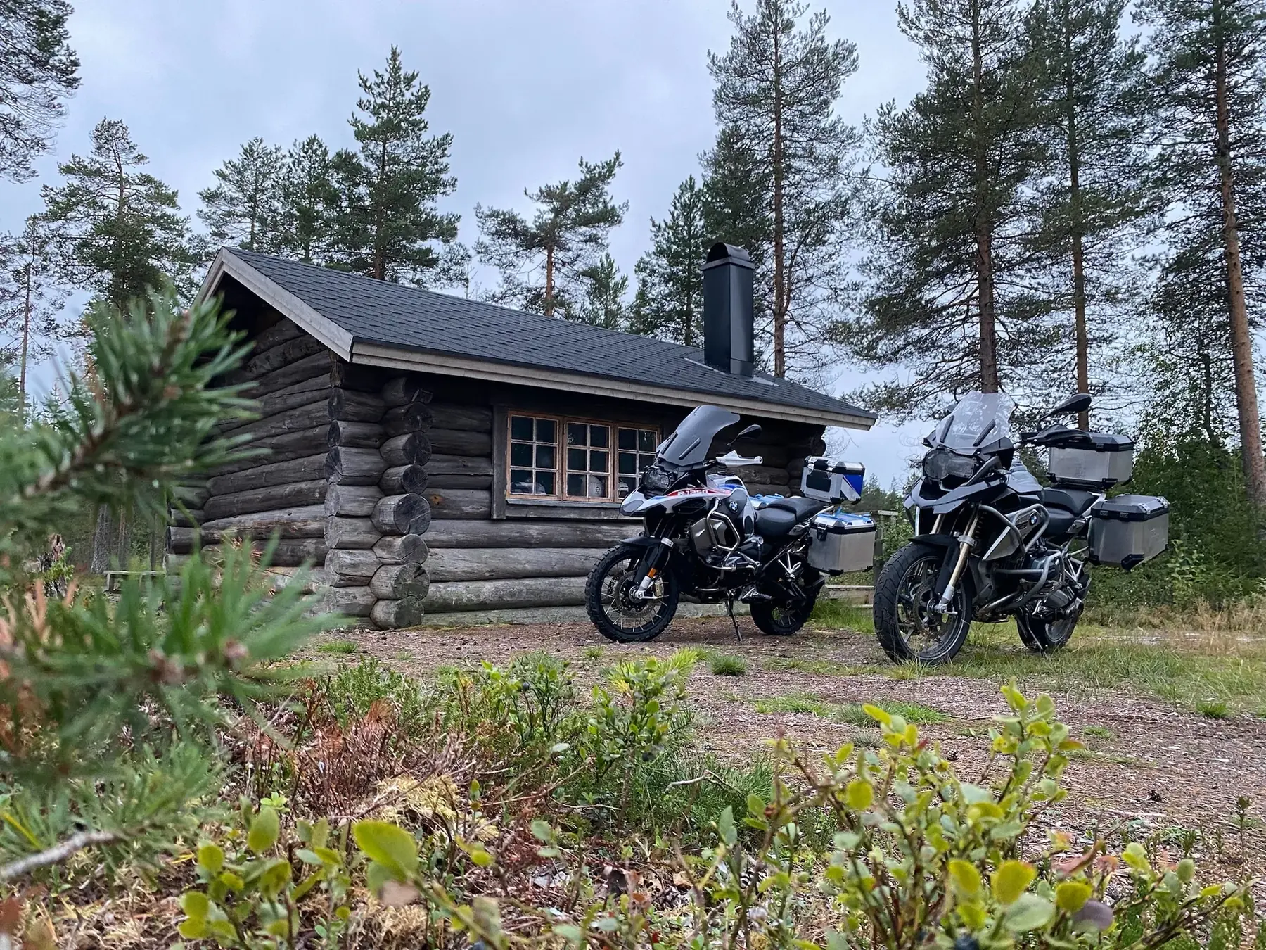 two adventure motorcycles in front of a log cabin, trees in the background, forest plants in the foreground