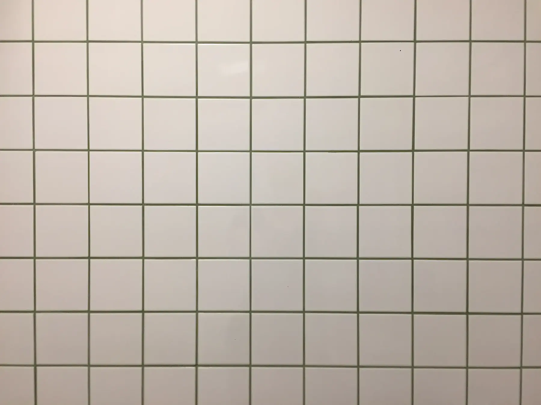 Tiles on a bathroom wall.