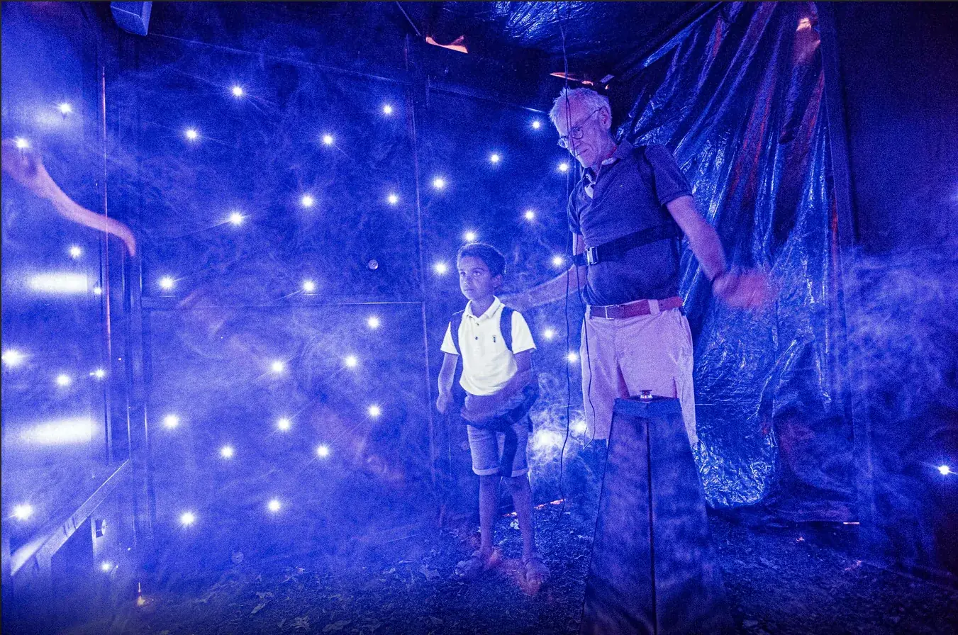 FireFlies